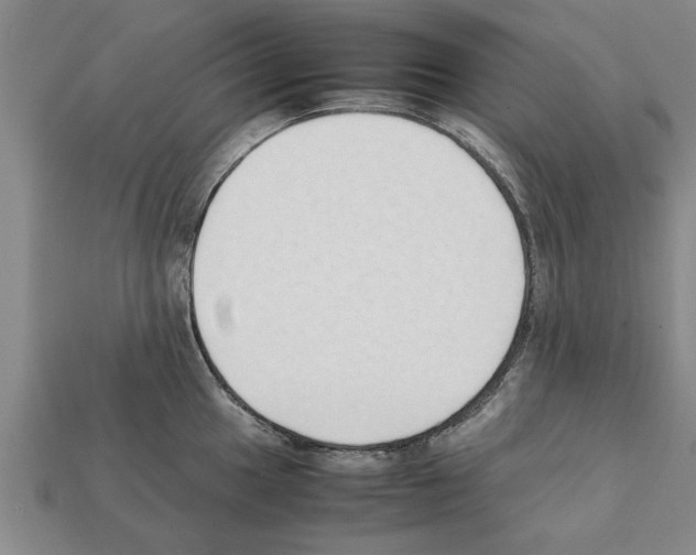 X0000111951049200909071316