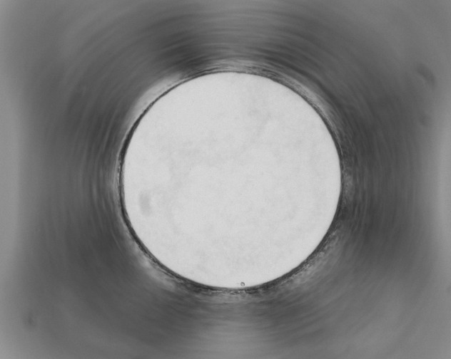 X0000111951050200909071316