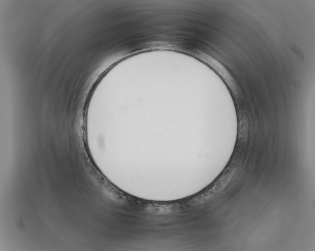 X0000111951051200909071316