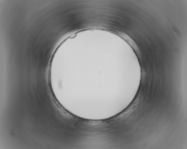 X0000111951052200909071316