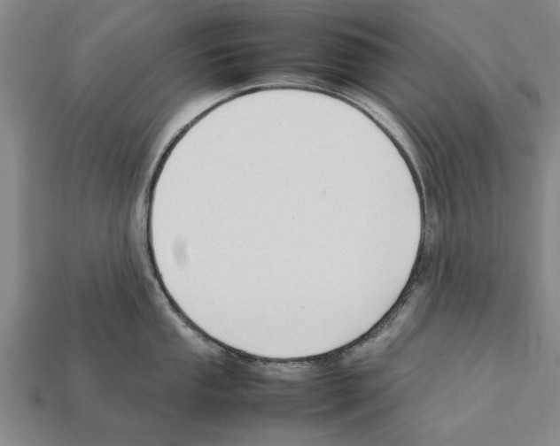X0000111951053200909071316