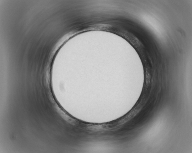 X0000111951054200909071316