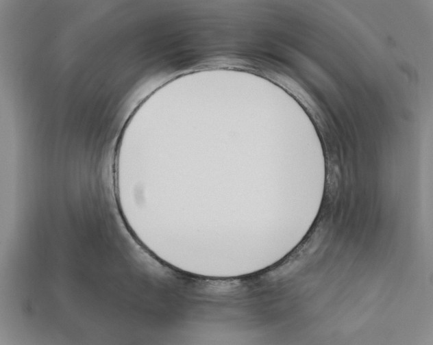 X0000111951055200909071316
