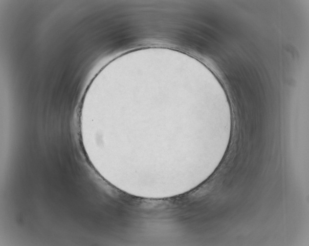 X0000111951056200909071316