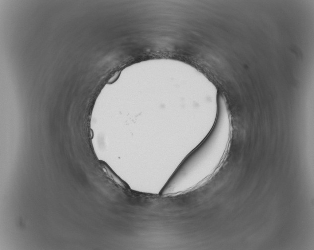 X0000111951057200909071315