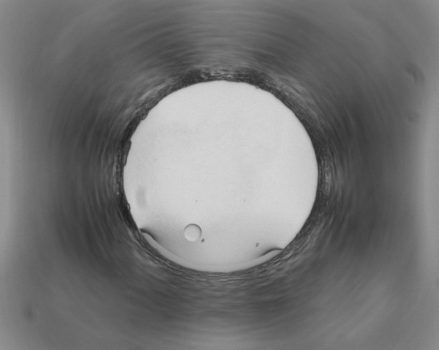 X0000111951060200909071315