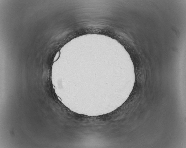 X0000111951061200909071315