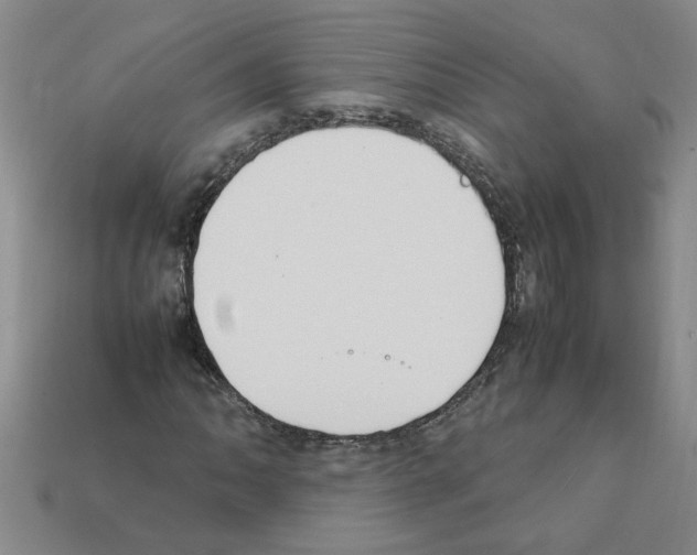 X0000111951062200909071315