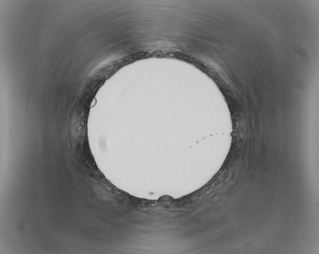 X0000111951063200909071315