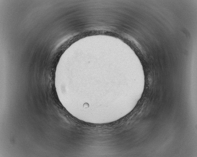X0000111951064200909071315