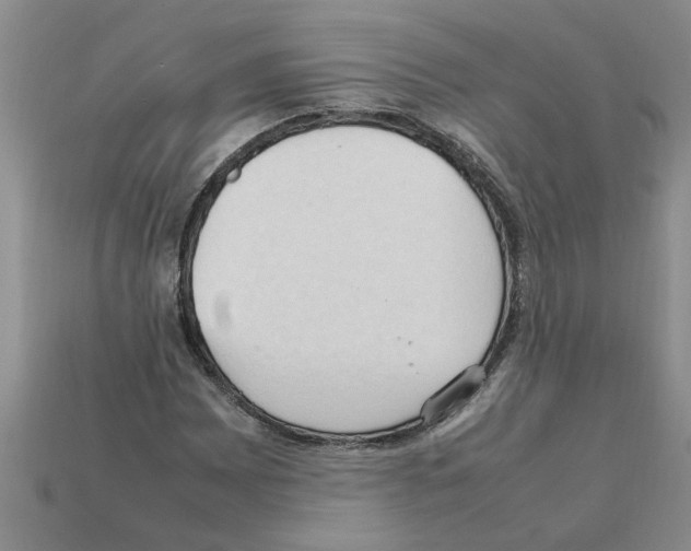 X0000111951065200909071315