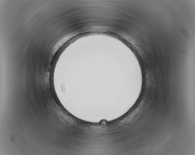 X0000111951066200909071315