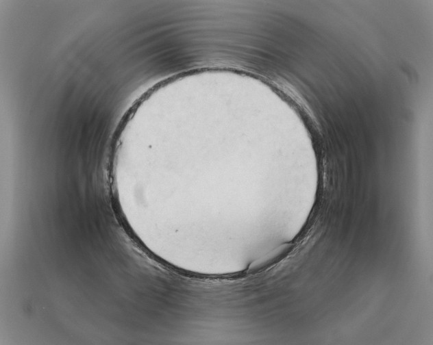 X0000111951068200909071315