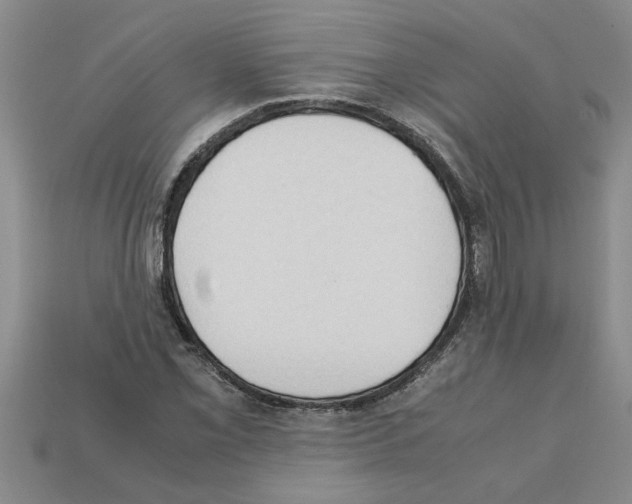 X0000111951069200909071315
