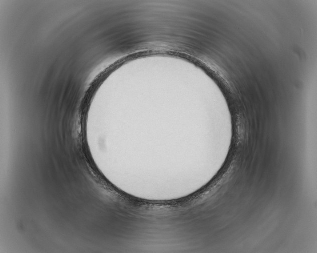 X0000111951070200909071315