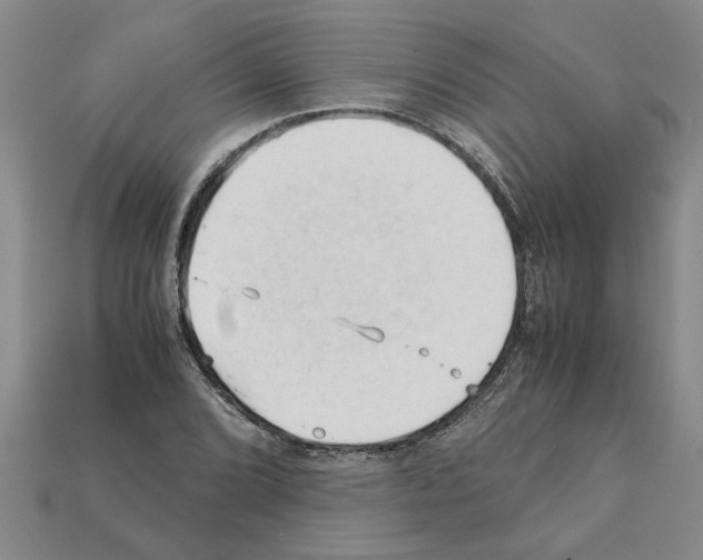 X0000111951072200909071315