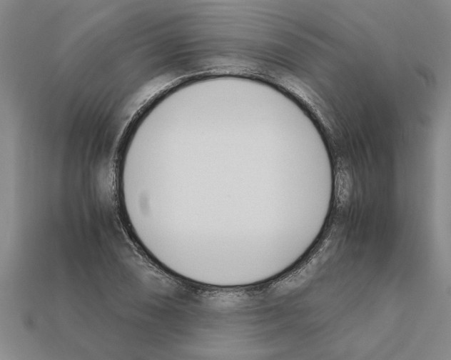 X0000111951074200909071315