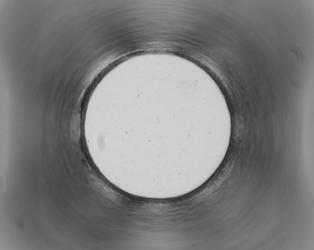 X0000111951075200909071315