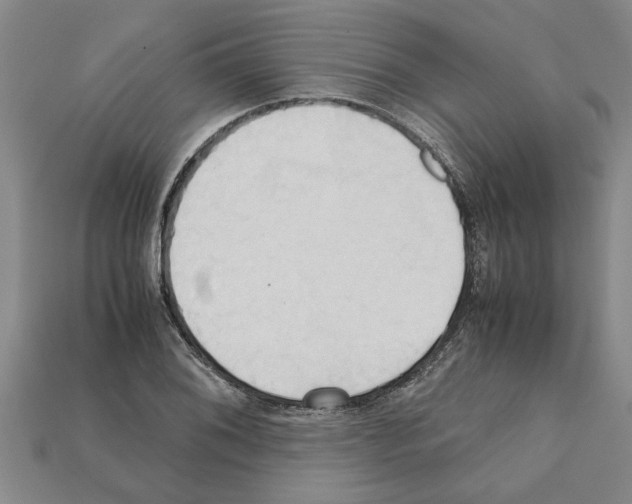 X0000111951076200909071315