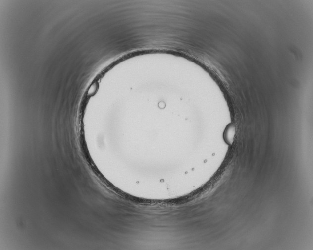 X0000111951077200909071315