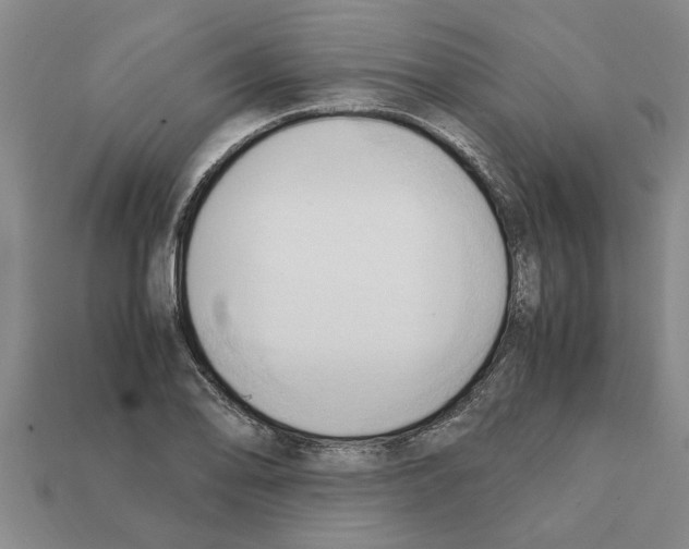 X0000111951078200909071315