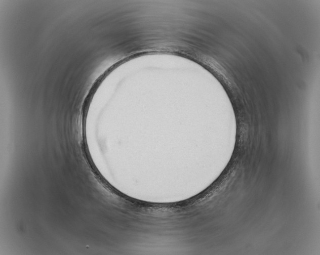 X0000111951079200909071315
