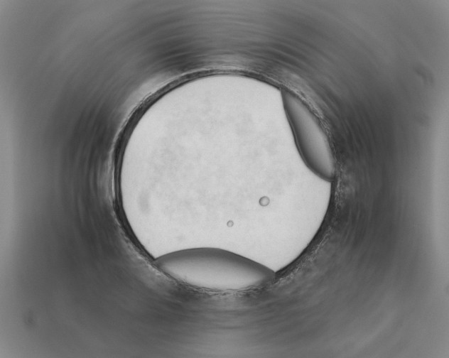 X0000111951080200909071315