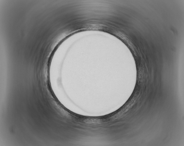 X0000111951083200909071315