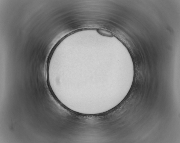 X0000111951084200909071315