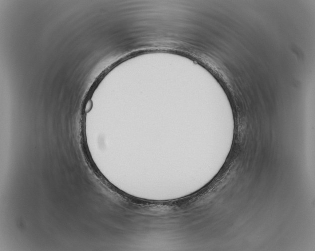 X0000111951085200909071315