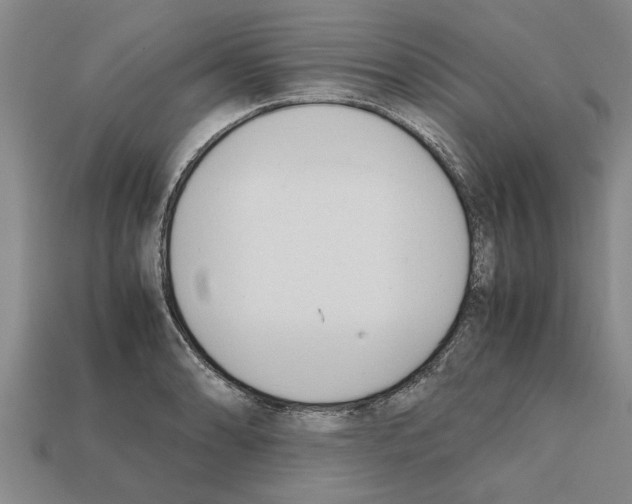 X0000111951086200909071315