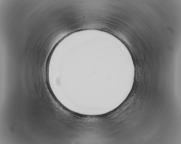 X0000111951087200909071315