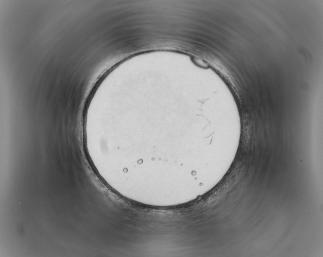 X0000111951088200909071315