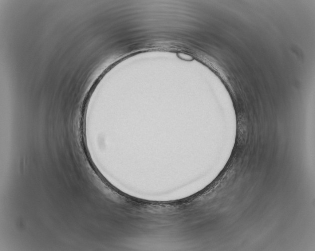 X0000111951091200909071315