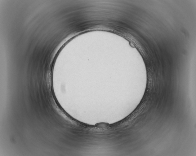 X0000111951092200909071315