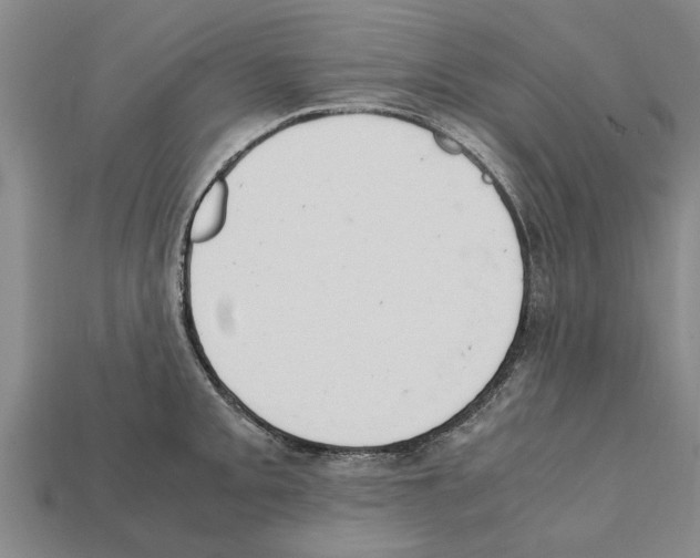 X0000111951093200909071315