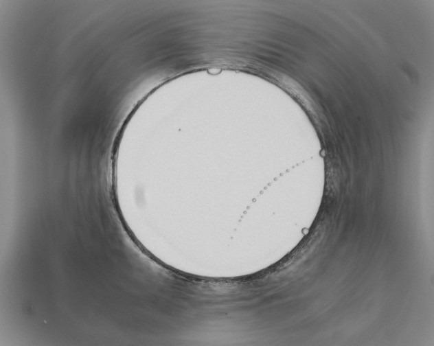 X0000111951095200909071315