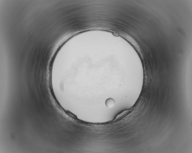 X0000111951096200909071315