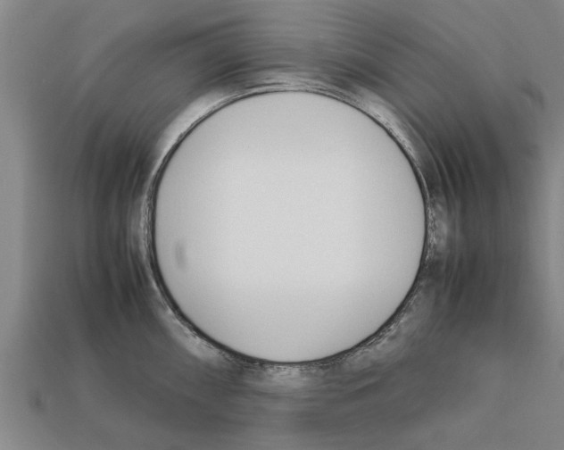 X0000111951098200909071315