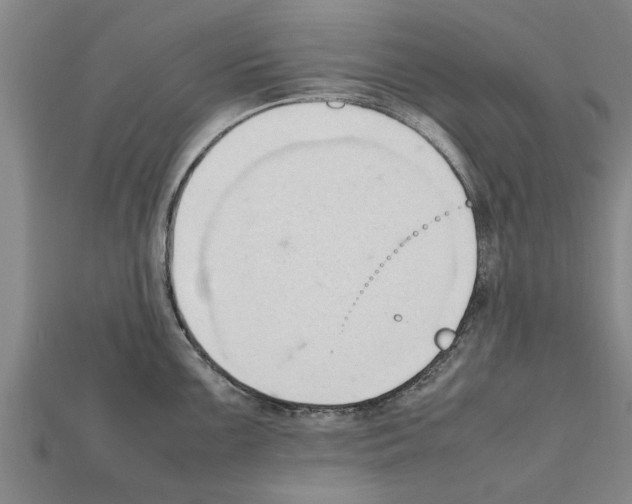 X0000111951099200909071315
