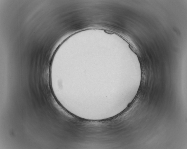 X0000111951100200909071315