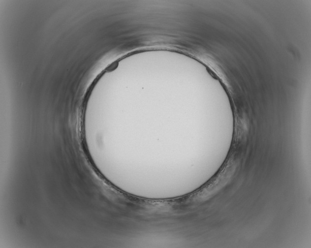 X0000111951101200909071315