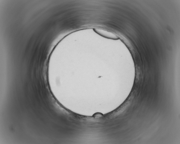 X0000111951102200909071315