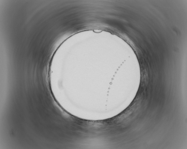 X0000111951103200909071315