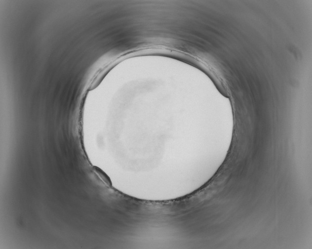 X0000111951104200909071315