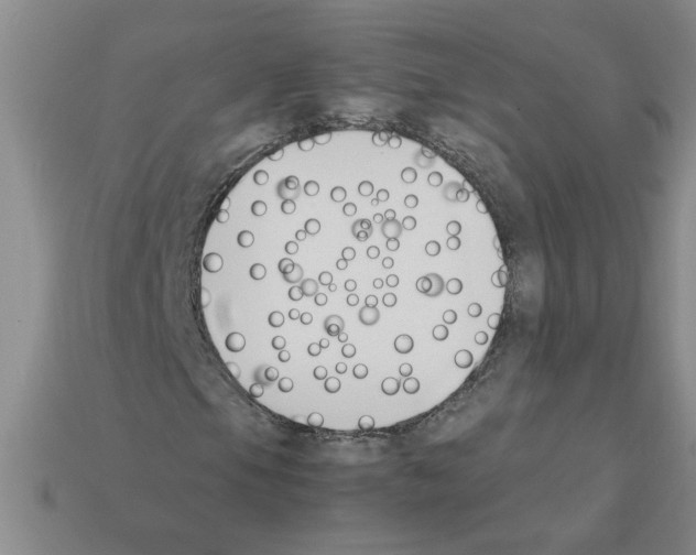X0000111951105200909071314