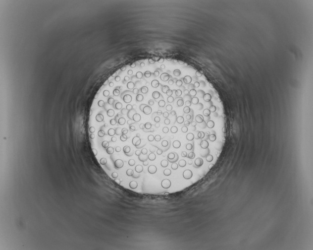X0000111951106200909071314