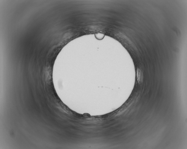X0000111951107200909071314