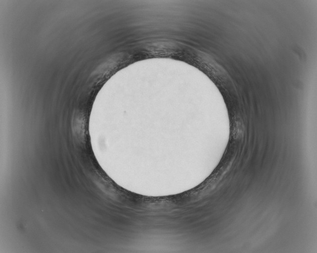 X0000111951108200909071314