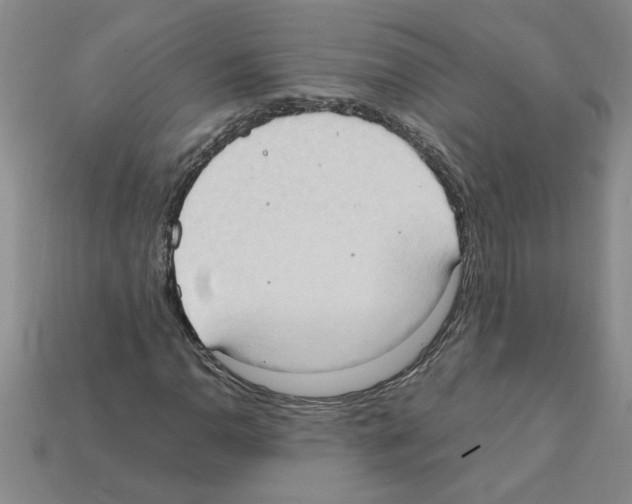 X0000111951110200909071314